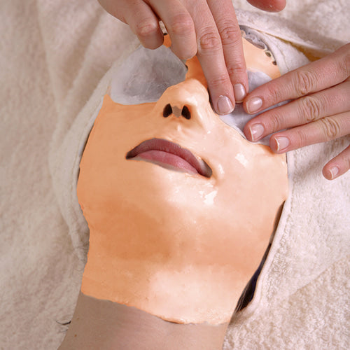FAU Premium Shiny Pumpkin Modeling Mask