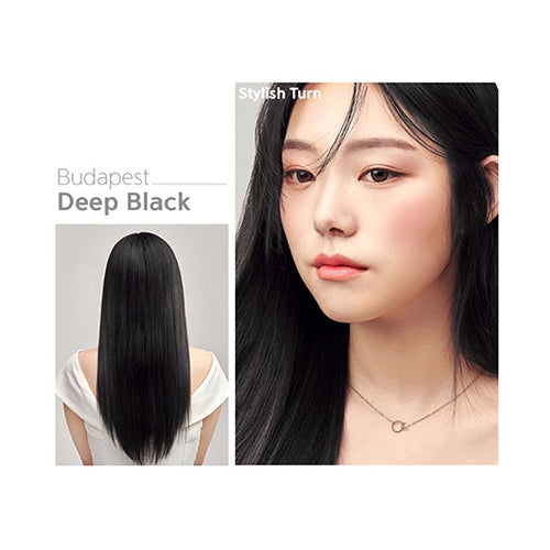 Ezn Pudding Hair Color Budapest Deep Black